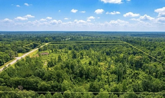 Aerial view of a 41-acre wooded property outlined in yellow in Wilcox County, Alabama